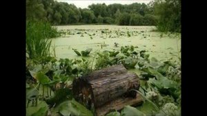 Сказочный мир А К  Лядова