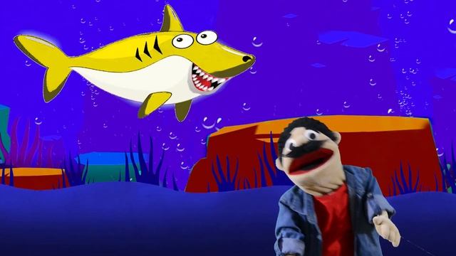Colorful Baby Shark Song ?Baby Shark Dance