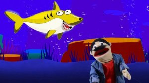 Colorful Baby Shark Song ?Baby Shark Dance