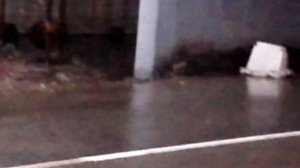 Воронеж-улица Новосибирская 2022