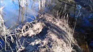 ✔Рыбалка? 11. 04. 2023 на реке? Дёма✔