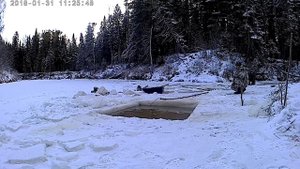 Зимняя рыбалка на паук ловля чебака