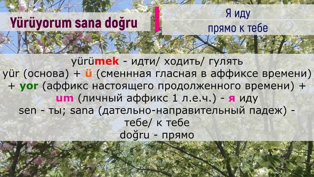 Турецкий по песням _ #56 Bora Duran - Sana Doğru - 298 день смотреть онлайн