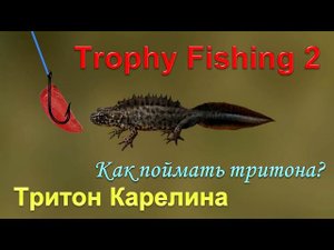 Тритон Карелина, ловля тритонов, в игре, Трофейная рыбалка 2