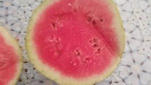 Арбуз Продюсер в разрезе| Первый арбуз Продюсер.