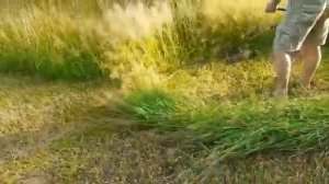 Триммер с роликами косит как бритва