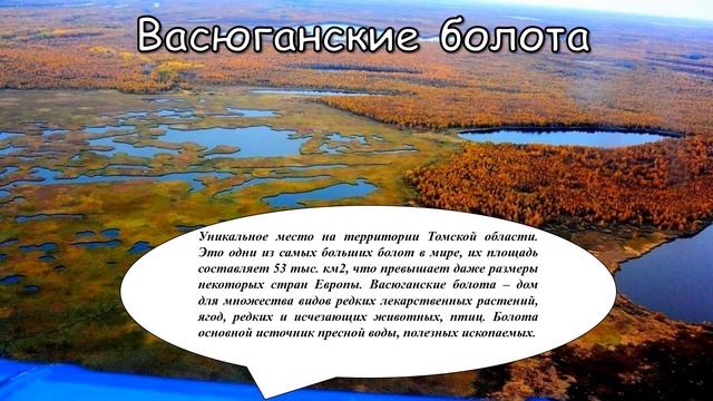 Мультимедийная презентация "Храните чудо из чудес..." природные богатства Томской земли (12+)