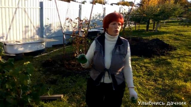 Осенняя корневая подкормка смотреть онлайн