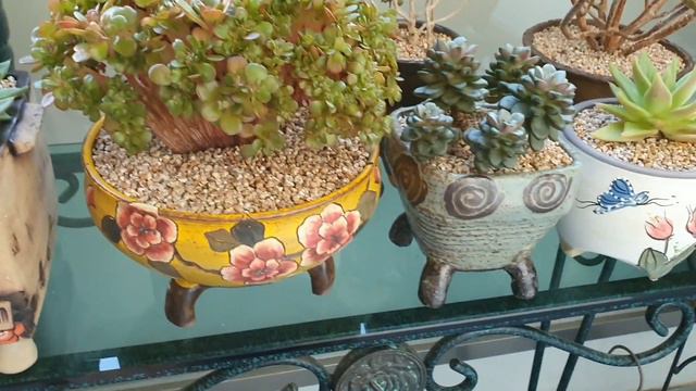 다육이♡ 예쁜화분과 다육이의 만남을 즐감하세요💓💓succulent plant, 多肉植物 смотреть онлайн