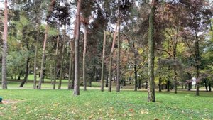 ГОРКА ПОЖИРАТЕЛЬ в Реальной Жизни! Что ВНУТРИ SCP горки ПОЖИРАТЕЛЬ?