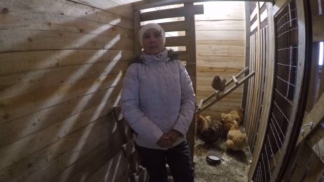 Комбикорм Пурина Новгородская область