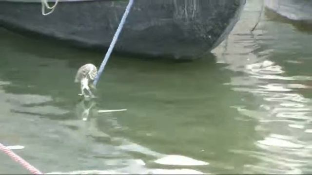 сожрал живьем смотреть онлайн