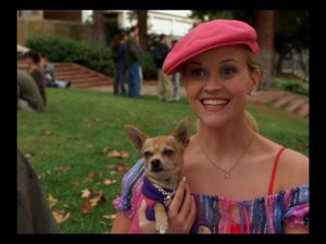 Отрывок из фильма Блондинка в законе