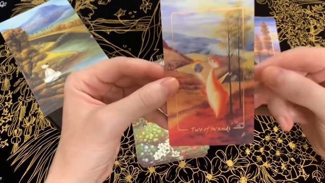 Обзор кошачьей колоды «The Feline Rider Tarot»??