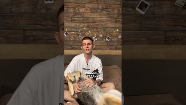 МЕХАНИКА РАСКРЫТА👇