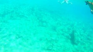 Остров Родос. Средиземное море. Под водой