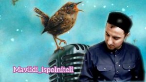 Усман Абдурахманов нашид на аварском языке "Мавля яса"