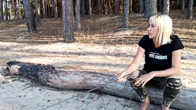 Дама с собачкой "английский бульдог" утро в сосновом лесу,как у Шишкина. смотреть онлайн