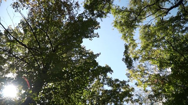 Олег Яна смотреть онлайн