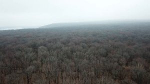 Лысая гора ноябрь 2019