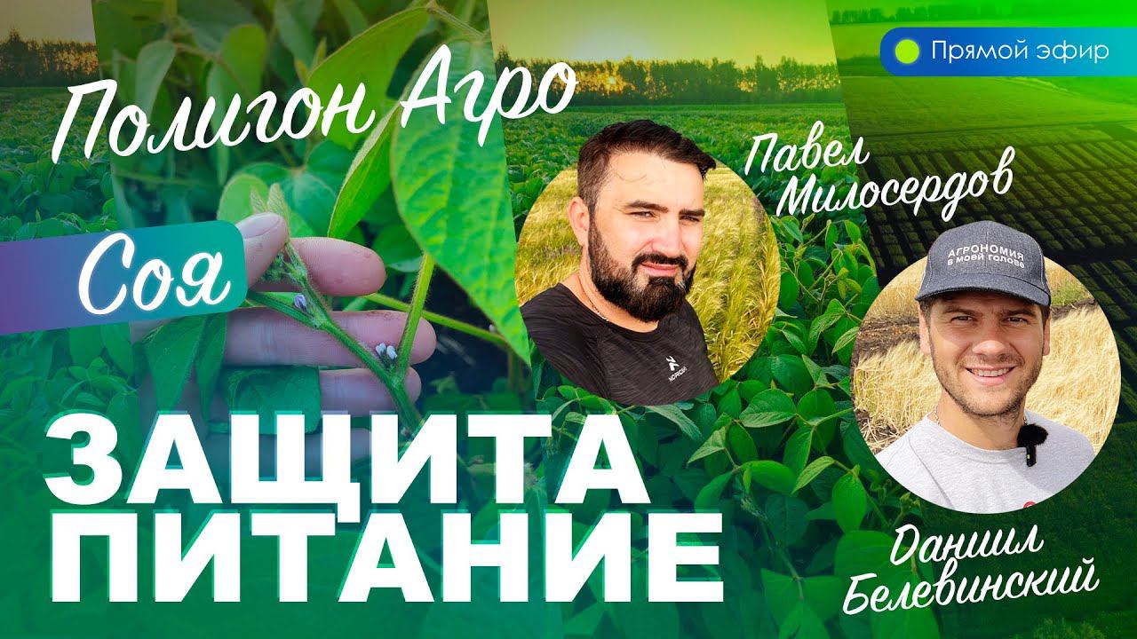 Соя: Опыты, Питание, Защита | Полигон Агро