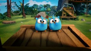 Angry Birds Blues | Sprung Out - S1 Ep11