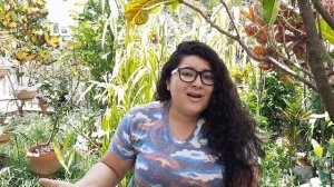 Viento y cielo alcanzar - Brave Cover