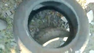 Резина лето R16/205/55 POWERTRAC RACING PRO   Артикул при звонке: 161613