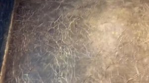 РЕМОНТ КОРИДОРА В КВАРТИРЕ Ч.1 | ПОКАЗЫВАЮ КАК БЫЛО ДО И РАССКАЗЫВАЮ ПРО СВОЙ ПЕРВЫЙ РЕМОНТ