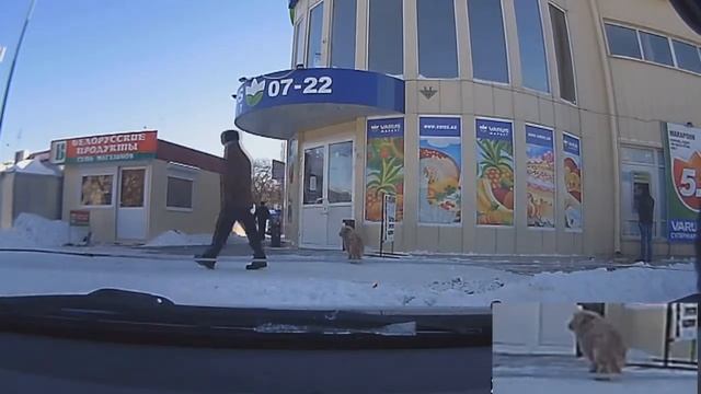 Собака на морозе, -25 смотреть онлайн