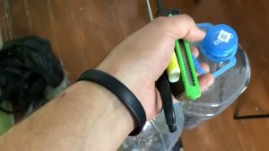 Выращиваю личинок майского жука!  #огород #майскийжук #тиктокер #тиктокеры #тиктокроссия