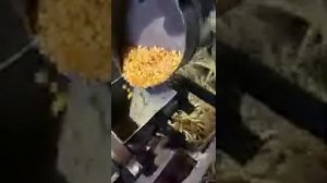 Экструдер зерновой ЭКГ, 220В