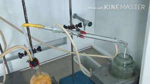 Получение и идентификация эфирного масла