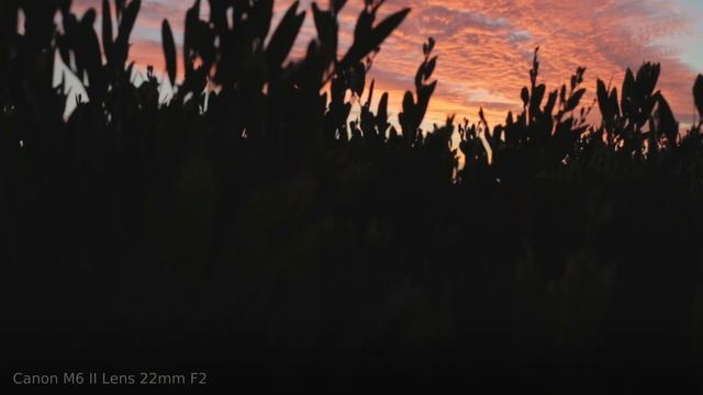 Canon EOS M6 Mark II with Lens 22mm F2 video test смотреть онлайн