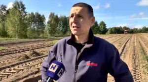 Как возвращают фермеры брошенные сельхоз земли в оборот? Расчистка полей от деревьев
