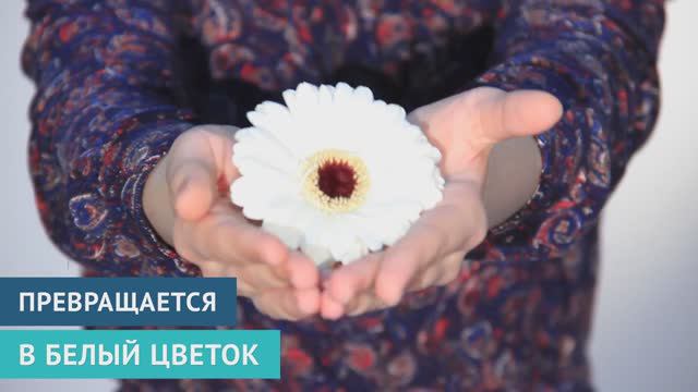 акция Белый цветок Санкт-Петербургского Детского хосписа