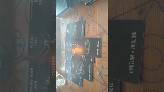 Collective General read. смотреть онлайн