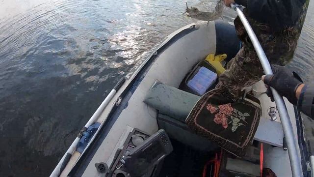 Приїхали на старе місце і почалась роздача трофеїв. Щука любить ці приманки! смотреть онлайн