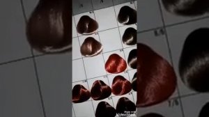 Оллин основная палитра. Окрашивание волос