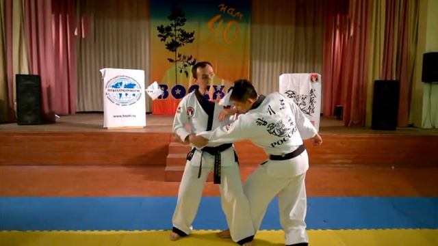 Учебный Семинар по Хапкидо (Луга 2016г.) смотреть онлайн