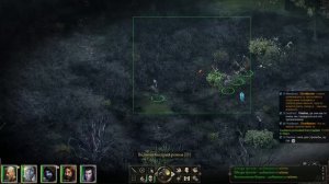 Pillars of Eternity - Часть 12