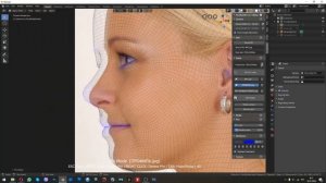 Аддон Face Builder для Blender