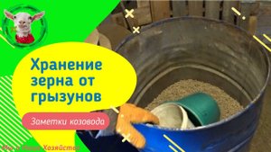 Опыт хранения зерна от грызунов