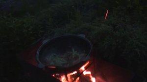 Кролик с грибами, тушенный в сметане в казане на костре
