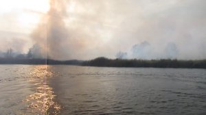 Пожар .река Воронеж
