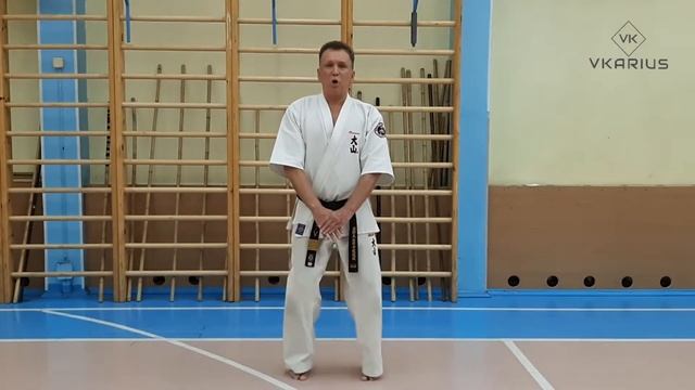 Базовые стойки в Ояма-каратэ