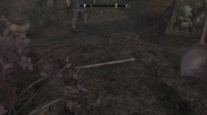 TES V: Skyrim. Прохождение с модами #30: Покупаем Медовик