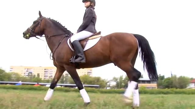 Саратов Сегодня - 16 мая 2016 смотреть онлайн