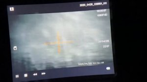 Пард 008 в ночи видио Охота.