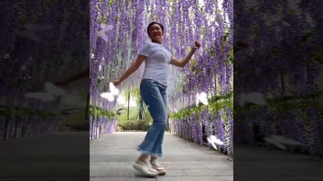 Dandan went to Sichuan Meishan, the teachers came to Sichuan as the competition jury смотреть онлайн